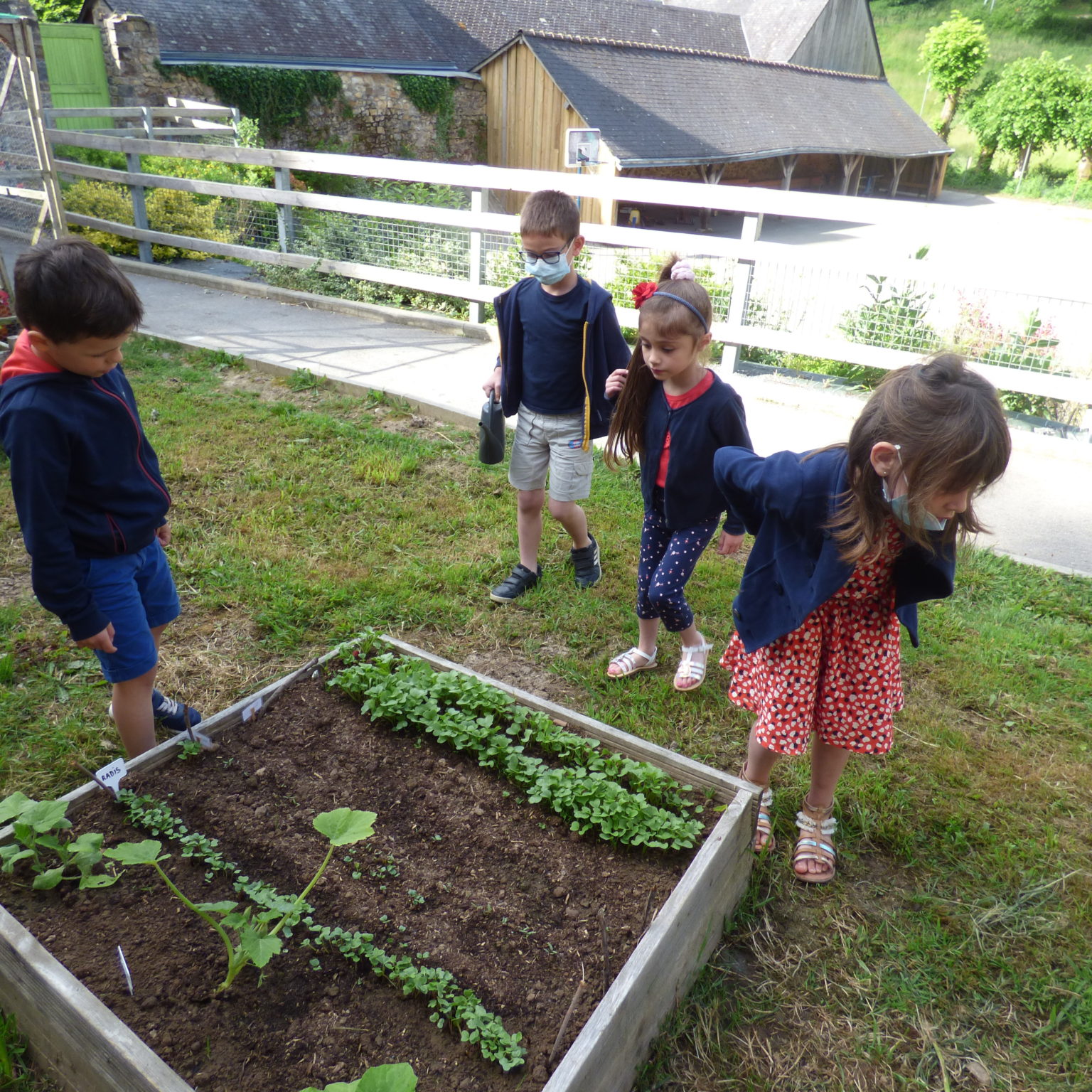 Les GS-CP au jardin